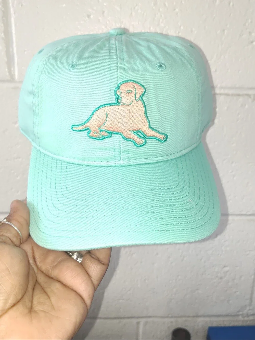 The Game Mint Green Baseball Cap with Peach Dog Embroidery
